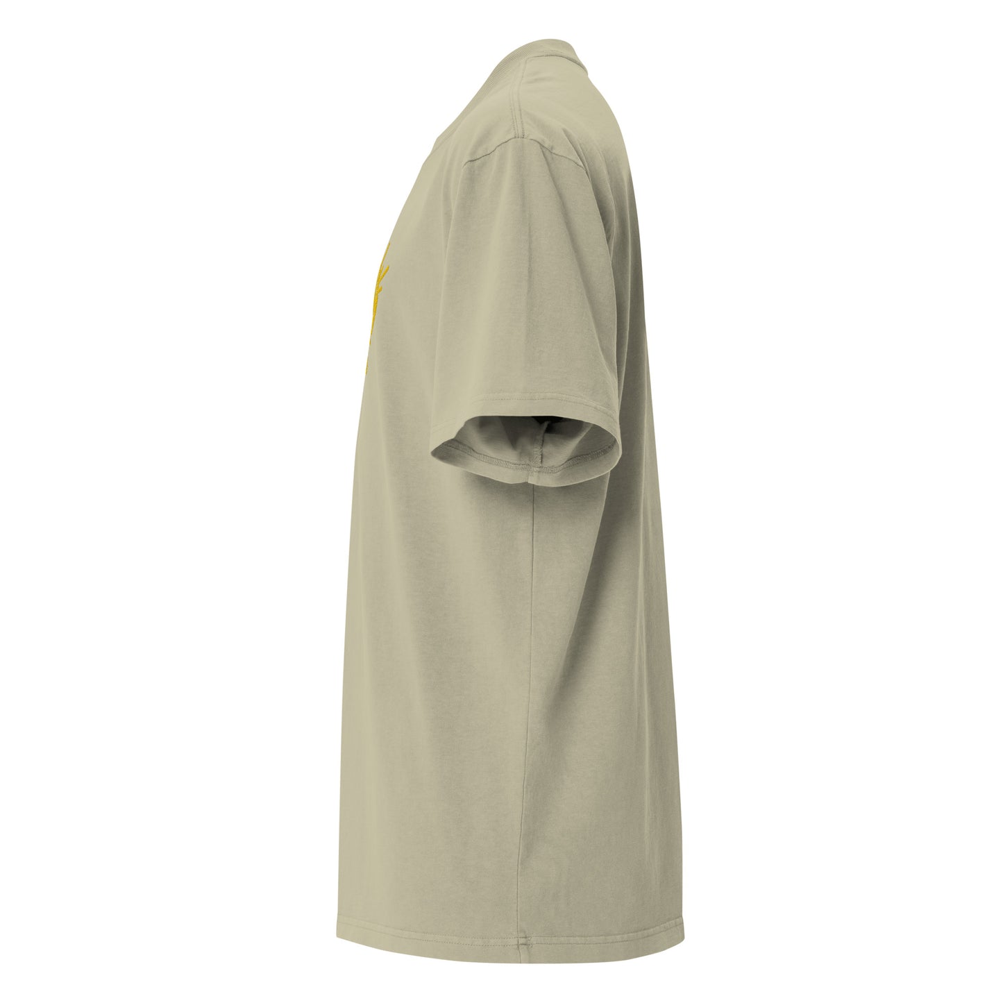 LION-BIG-HEAD1819-GOLDOOZI-Oversized faded t-shirt