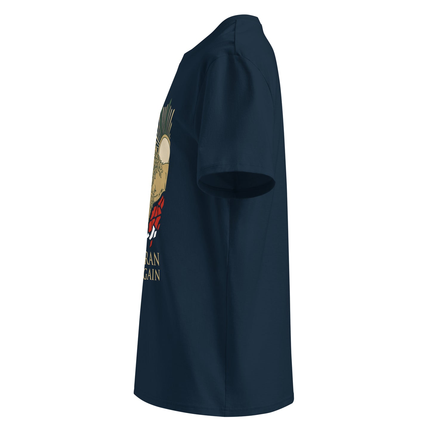 French navy