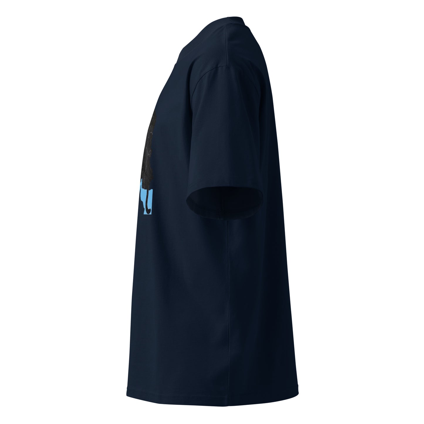 French Navy