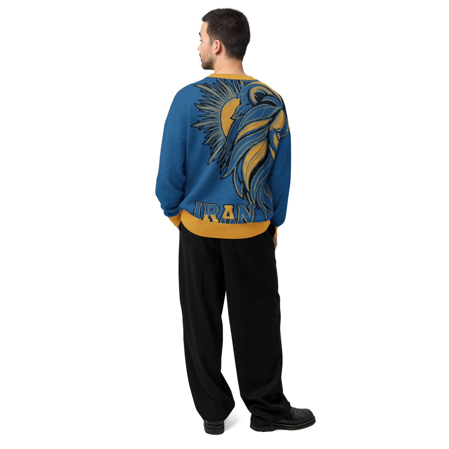 LIon-Iran-Relaxed fit knitted crew neck sweater